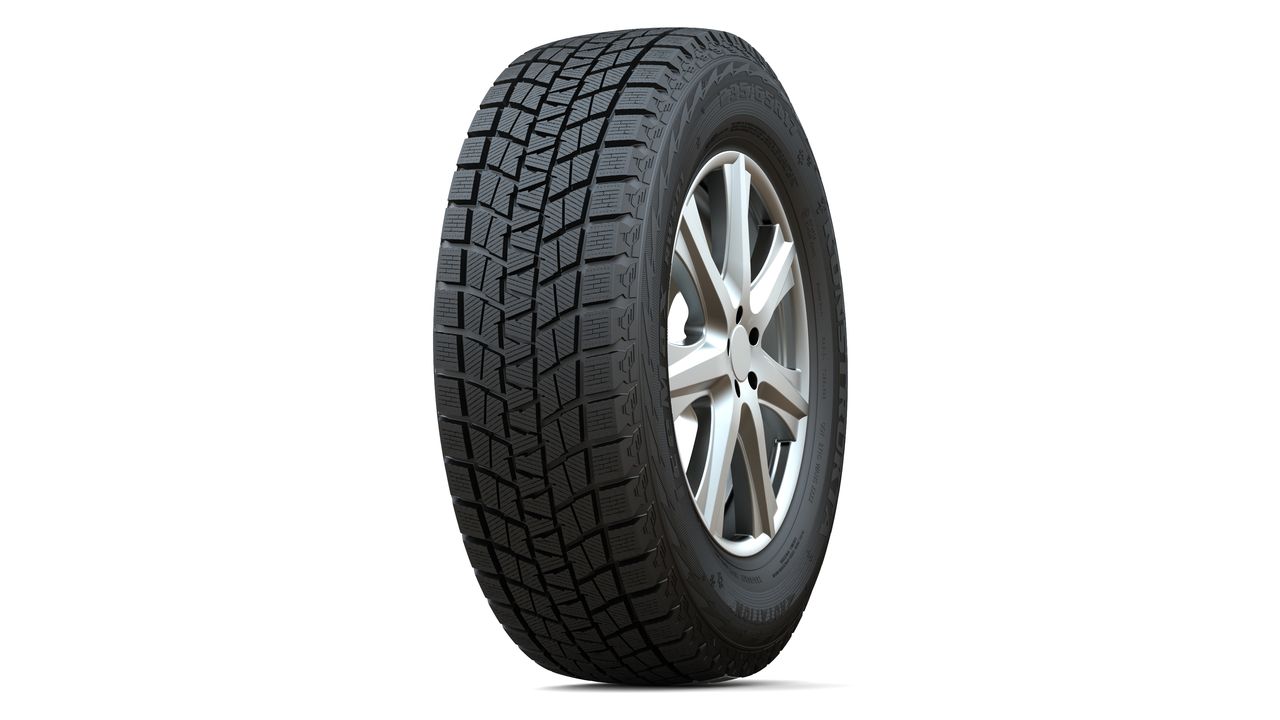 KapsenRW501Шинызимние245/45R18100H