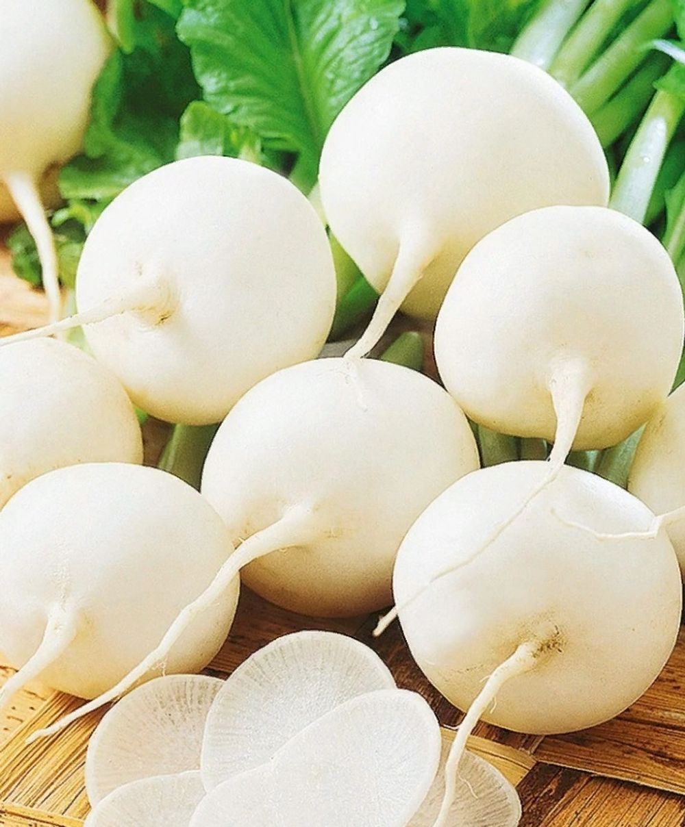 Редька репа дайкон. Редька зимняя круглая белая. Редька "белая майская". Как готовить редьку. Редис ровер f1.