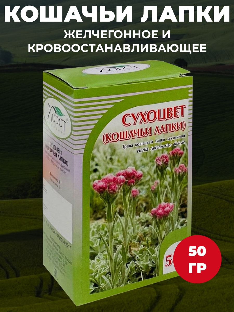 Трава кошачья лапка