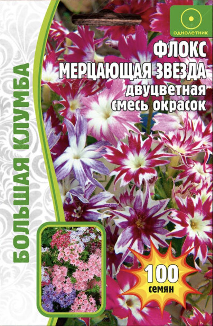 Флоксы Однолетние Купить Семена