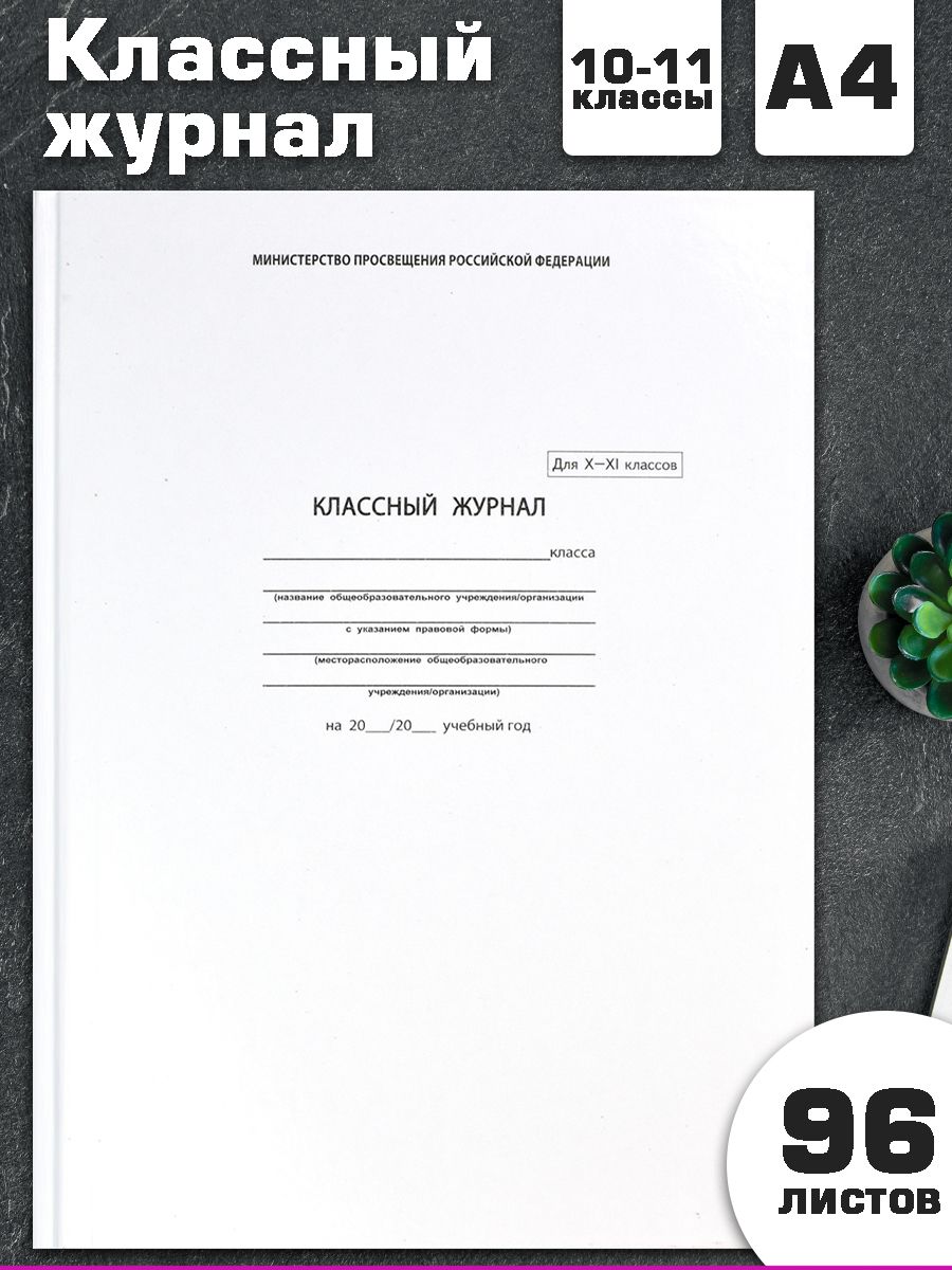 Феникс+ Классный журнал A4 (21 × 29.7 см), листов: 96 - купить с доставкой  по выгодным ценам в интернет-магазине OZON (629874530)