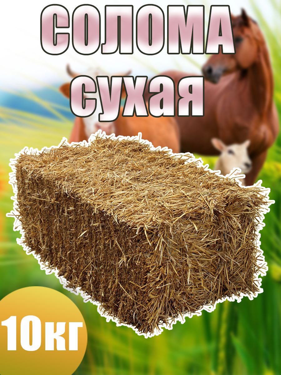 Лучшая мульча — солома