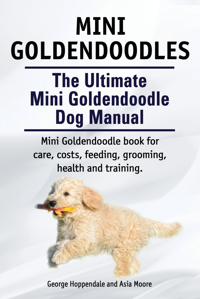 Mini Goldendoodles. The Ultimate Mini Goldendoodle Dog Manual. Miniature Goldendoodle book for care, #1