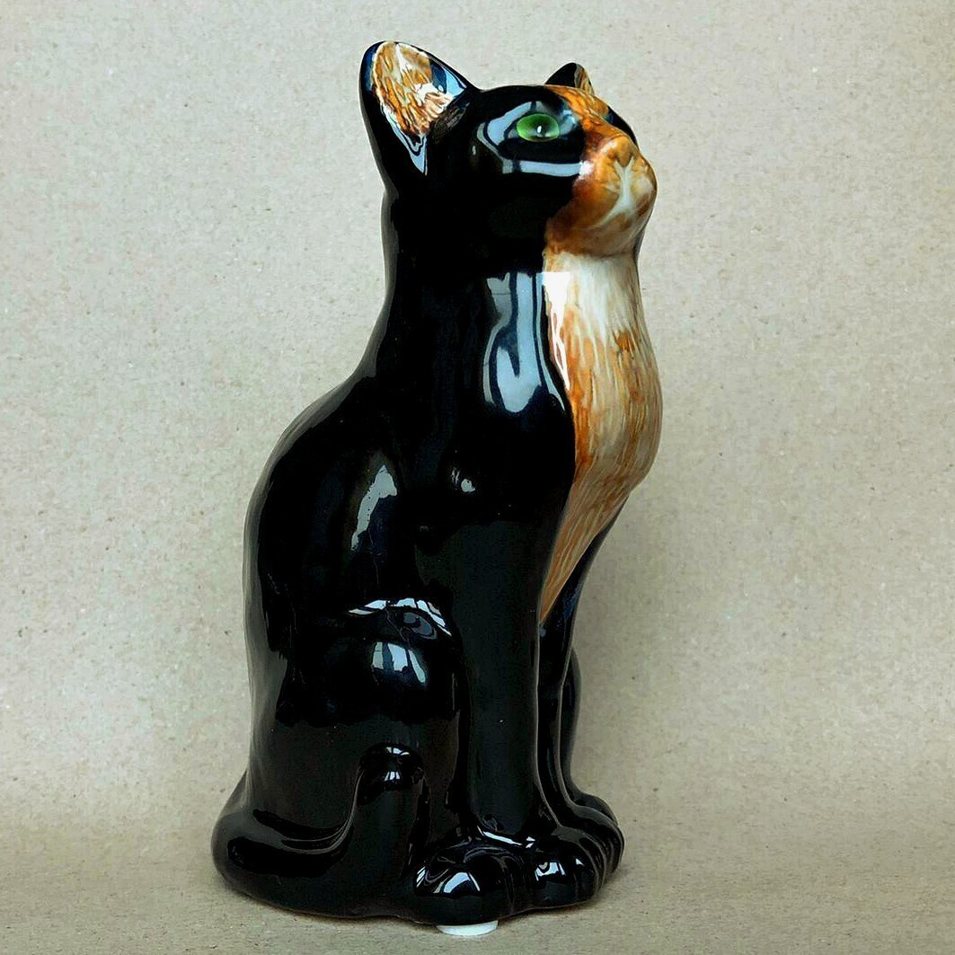Домашний Кот В Новый Год Тигра Домашний Кот В Новый Год Тигра