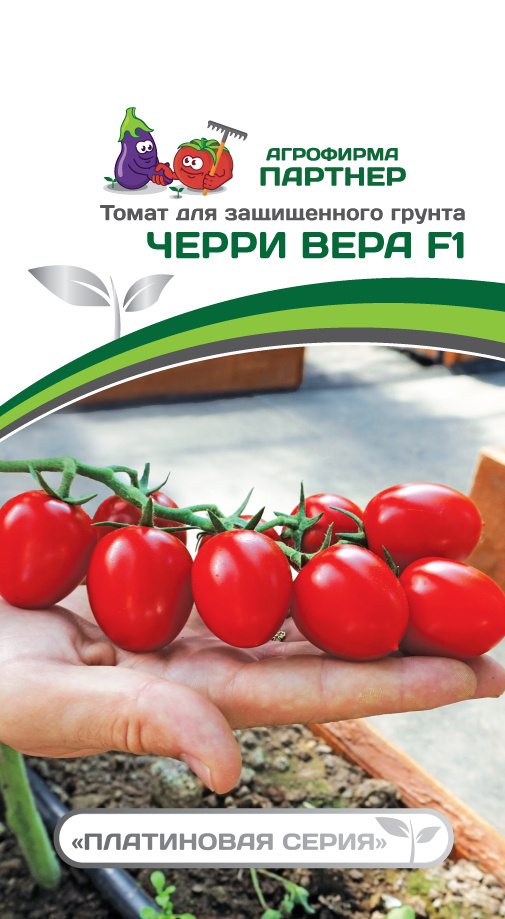 Чери вера томат