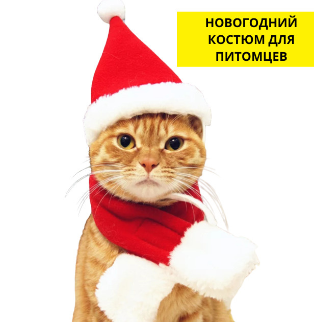 Новогодний Костюм Для Кота