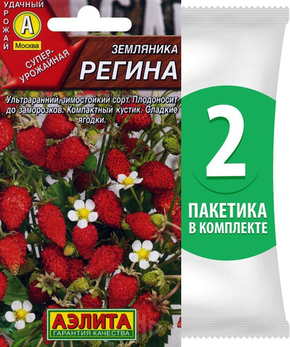 Земляника регина описание сорта фото отзывы Земляника садовая Клубничный хуторок