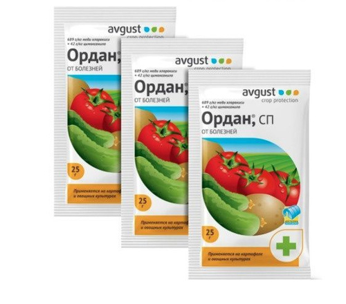Avgust ордан отзывы