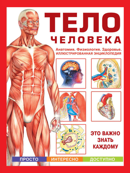 Анатомия и физиология человека проект