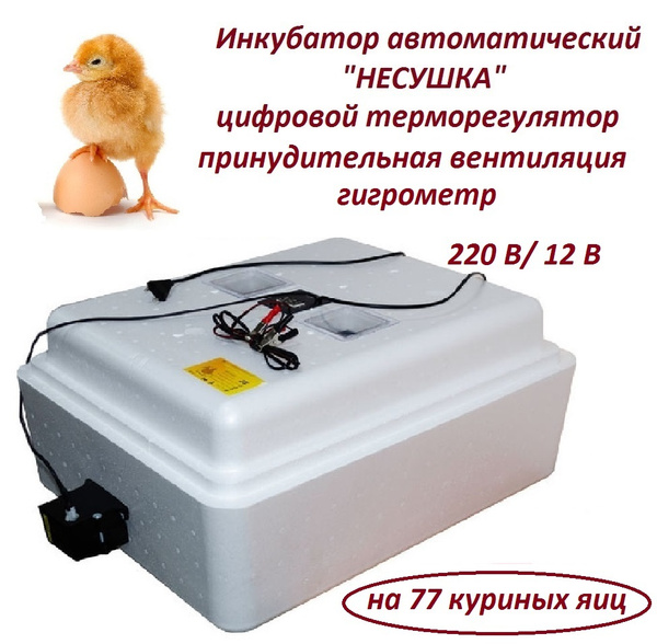 Характеристики Инкубатор автоматический "Несушка" на 77 яиц, 220 В/12 В ...