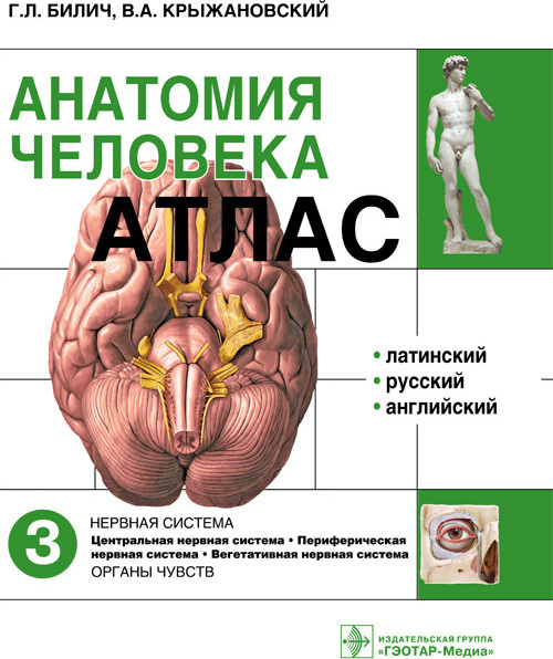 Атлас анатомии крыжановский. Атлас анатомии человека Билич 1 том. Атлас анатомии человека Билич 2014 2 том. Крыжановский анатомия человека атлас 3 том. Билич Габриэль Лазаревич.