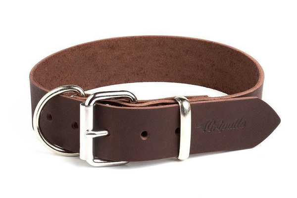 GRIPALLE, Ошейник для собак Кевин кожаный, стальная фурнитура ...