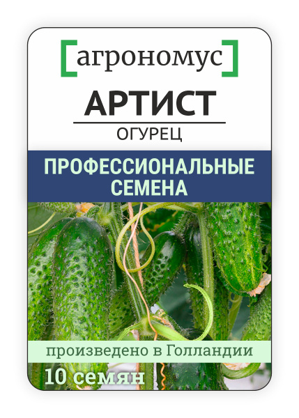 Огурцы Артист Отзывы Фото