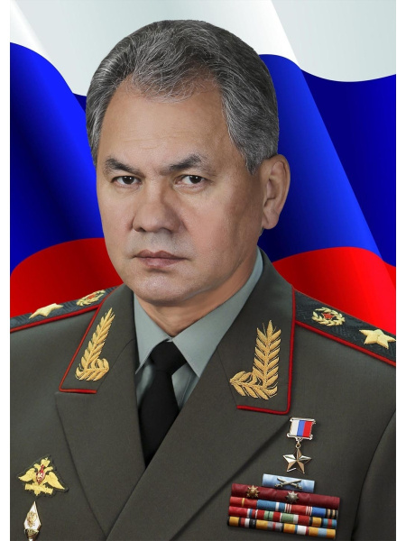 Официальное фото мо рф