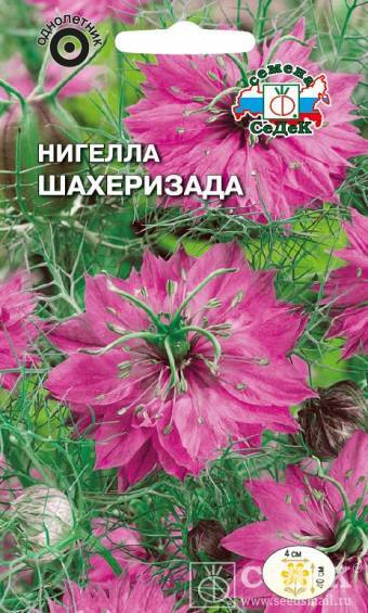 Седек Нигелла - купить по выгодным ценам в интернет-магазине OZON ...