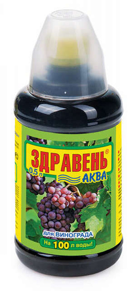 Здравень АКВА для винограда 0,5л ВХ - купить с доставкой по выгодным ...