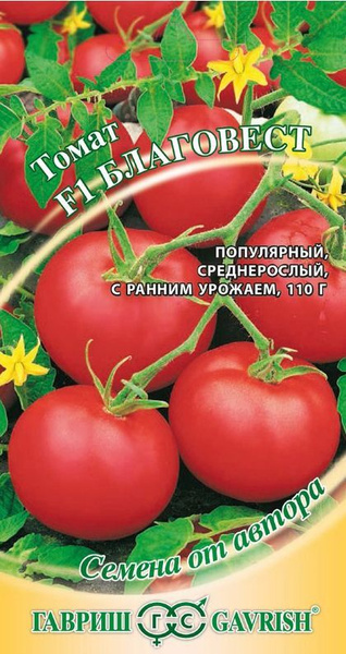 Сорт томатов благовест фото