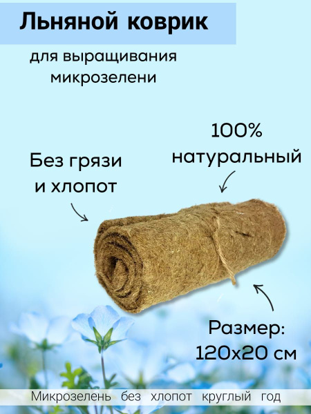 Набор для выращивания Ильинские проростки купить по выгодной цене в ...