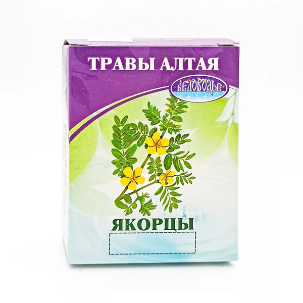 Якорцы (стелющиеся) - купить с доставкой по выгодным ценам в интернет ...