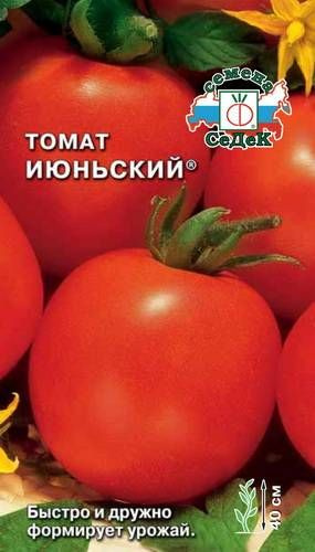 Томат июньский. Томат июньский седек. томат сорт июньский ранний. томат июньский форумский. томат июньский характеристика.