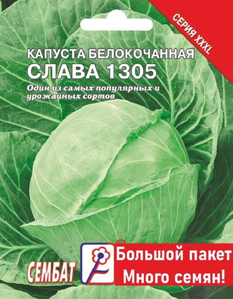 Проверенные сорта капусты белокочанной. Что планируем опять посадить на своем уч