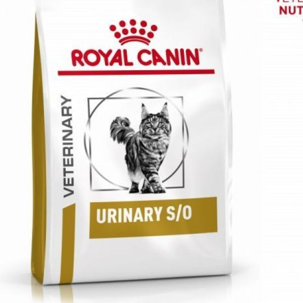 Royal canin medium starter. Авито роял канин. Роял канин бирюзовый. Роял канин adult для собак 15 кг. Авито роял канин.