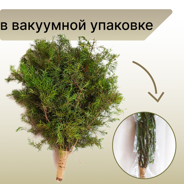 можжевеловый банный веник - Веник для бани, купить в интернет-магазине ...