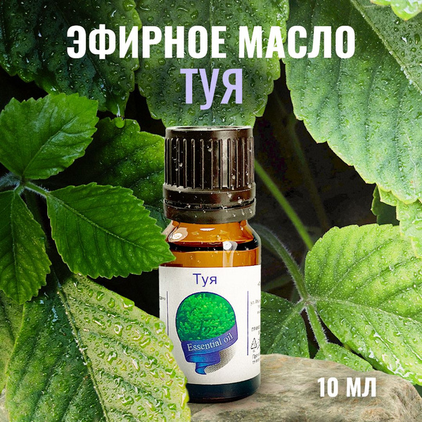 Сибирь Намедойл 100% натуральное Эфирное масло 10 мл (389206673)