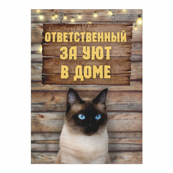 Табличка, осторожно злой кот, прикол, на дверь, на забор, 25 см, 18 см ...
