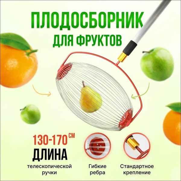 Плодосъемник, плодосборник ручной телескопический для яблок - купить с ...