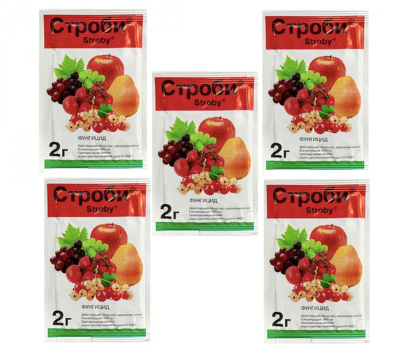 Строби форум. Строби форум