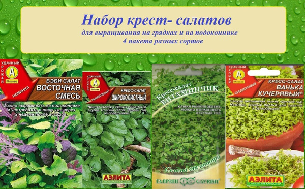 Кресс-салат, Салат Агрофирма Аэлита НК1 - купить по выгодным ценам в ...