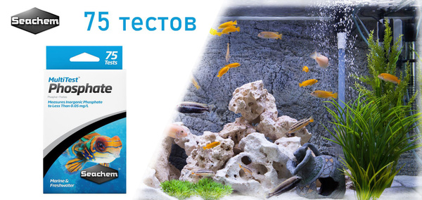 Seachem MultiTest: Phosphate - тест для воды на фосфаты, капельный , 75 ...