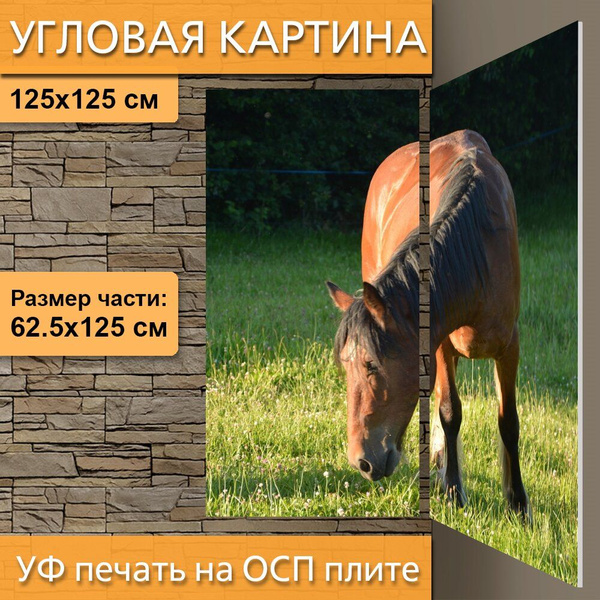 Угловая модульная картина "Лошадь, стандарт, лошади" для интерьера на ...