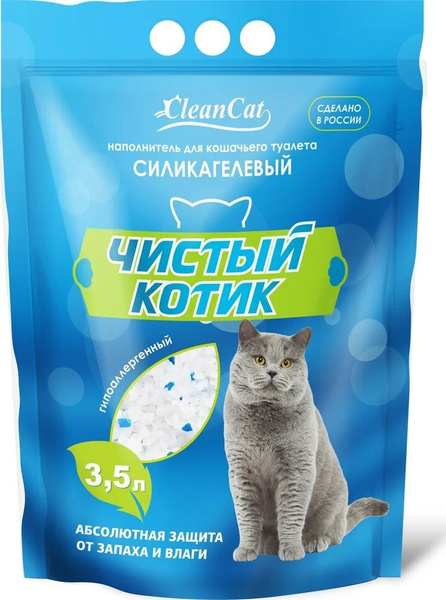 Чистый котик стерлитамак
