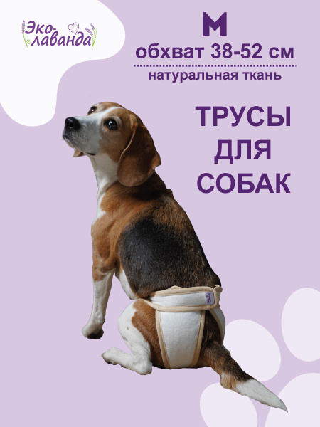 Трусы для собаки во время течки многоразовые, размер М - купить с ...