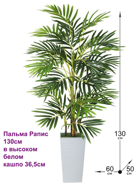 Купить Искусственная Пальма Рапис 130см в высоком белом кашпо 36,5 см ...