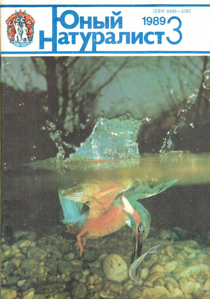 Журнал "Юный натуралист" 1989 №3 купить по низким ценам в интернет ...
