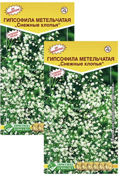 Гипсофилы многолетние Евросемена Растения для сада - купить по выгодным ...