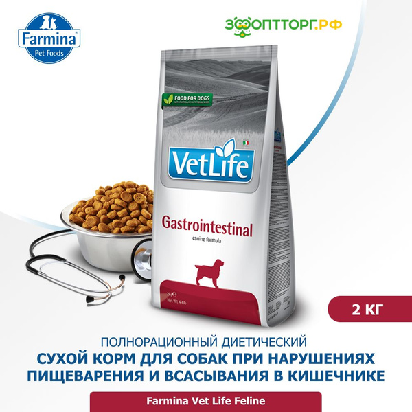 Сухой корм Vet Life Dog Gastrointestinal для собак при заболевании ЖКТ ...