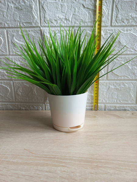 Купить Осока в кашпо по выгодной цене в интернет-магазине OZON.ru ...