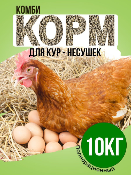 Комбикорм для кур несушек старт (ПК-2) 10кг - купить с доставкой по ...
