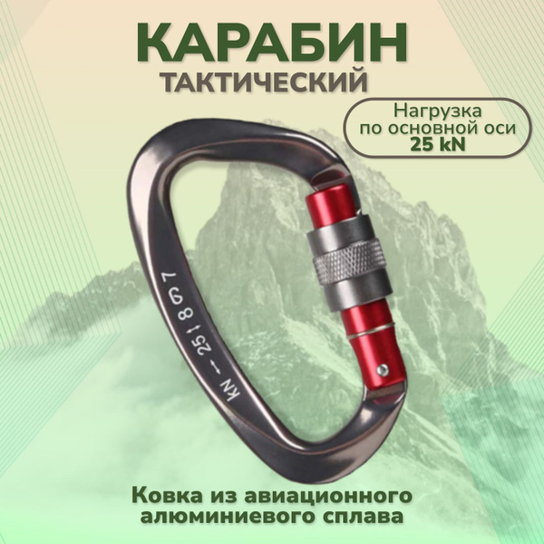 Карабин альпинистский, 1 шт купить на OZON по низкой цене (1878708585)