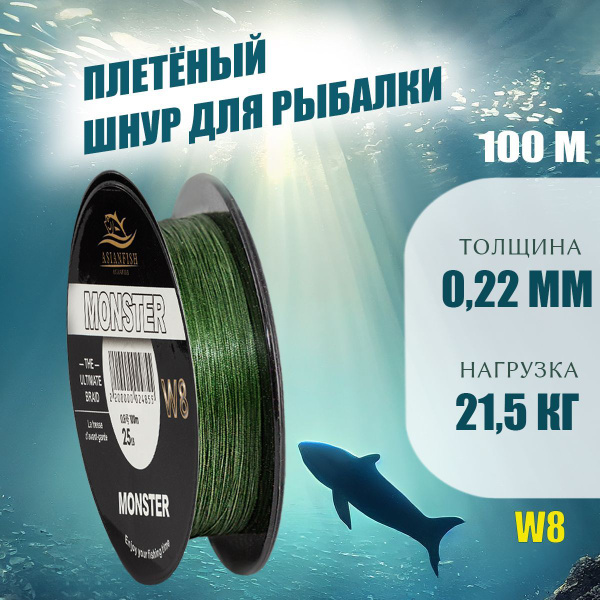 Плетеный шнур для рыбалки ASIANFISH, 100 м купить по выгодной цене в ...