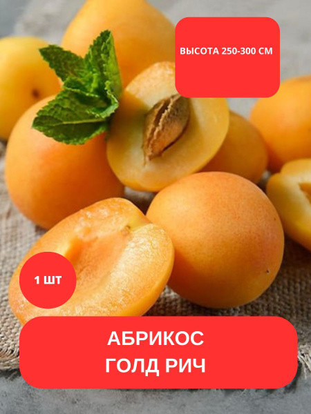 Клубни купить по выгодной цене в интернет-магазине OZON (1136068527)