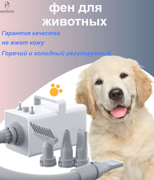 Компрессор для фена для собак и кошек. - купить с доставкой по выгодным ...