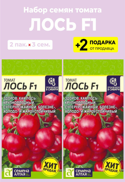 Сорт томата лось фото и описание