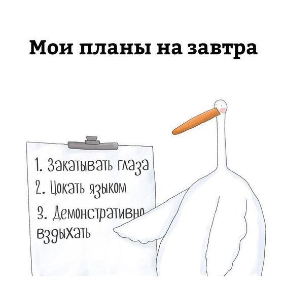 Планы на день мем