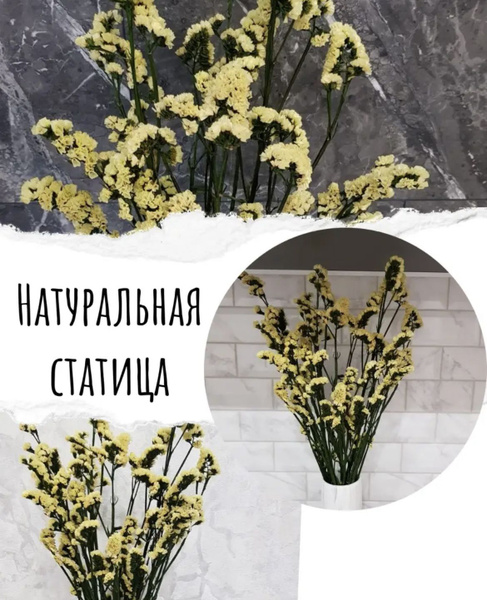 Сухоцветы Статица, 60 см, 300 гр купить по выгодной цене в интернет ...
