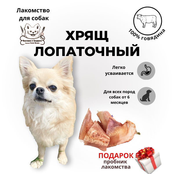 Хрящ лопаточный говяжий сушеный, лакомство для собак - купить с ...